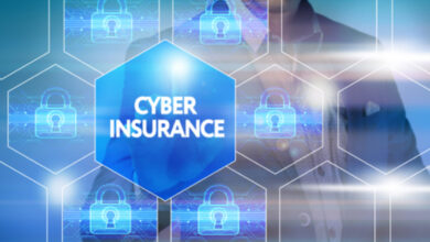 Photo of The Ultimate Guide to Web Security Insurance