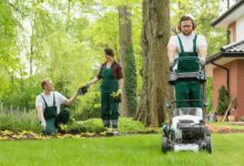 Photo of What are the Advantages of Professional Lawn Care?
