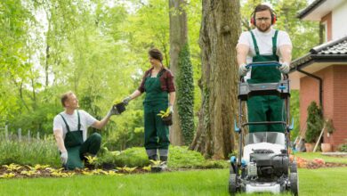 Photo of What are the Advantages of Professional Lawn Care?